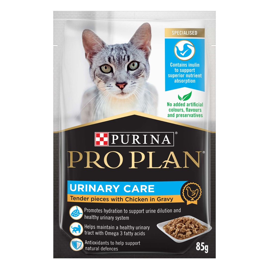 Wet cat food 2024 for urinary problems